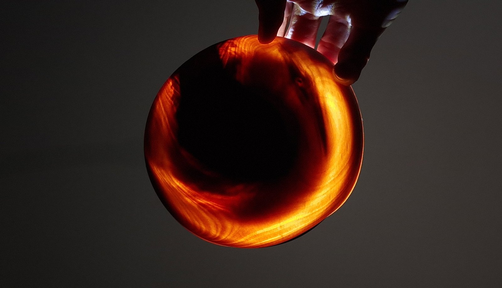 light shining through ultra fine birch bowl