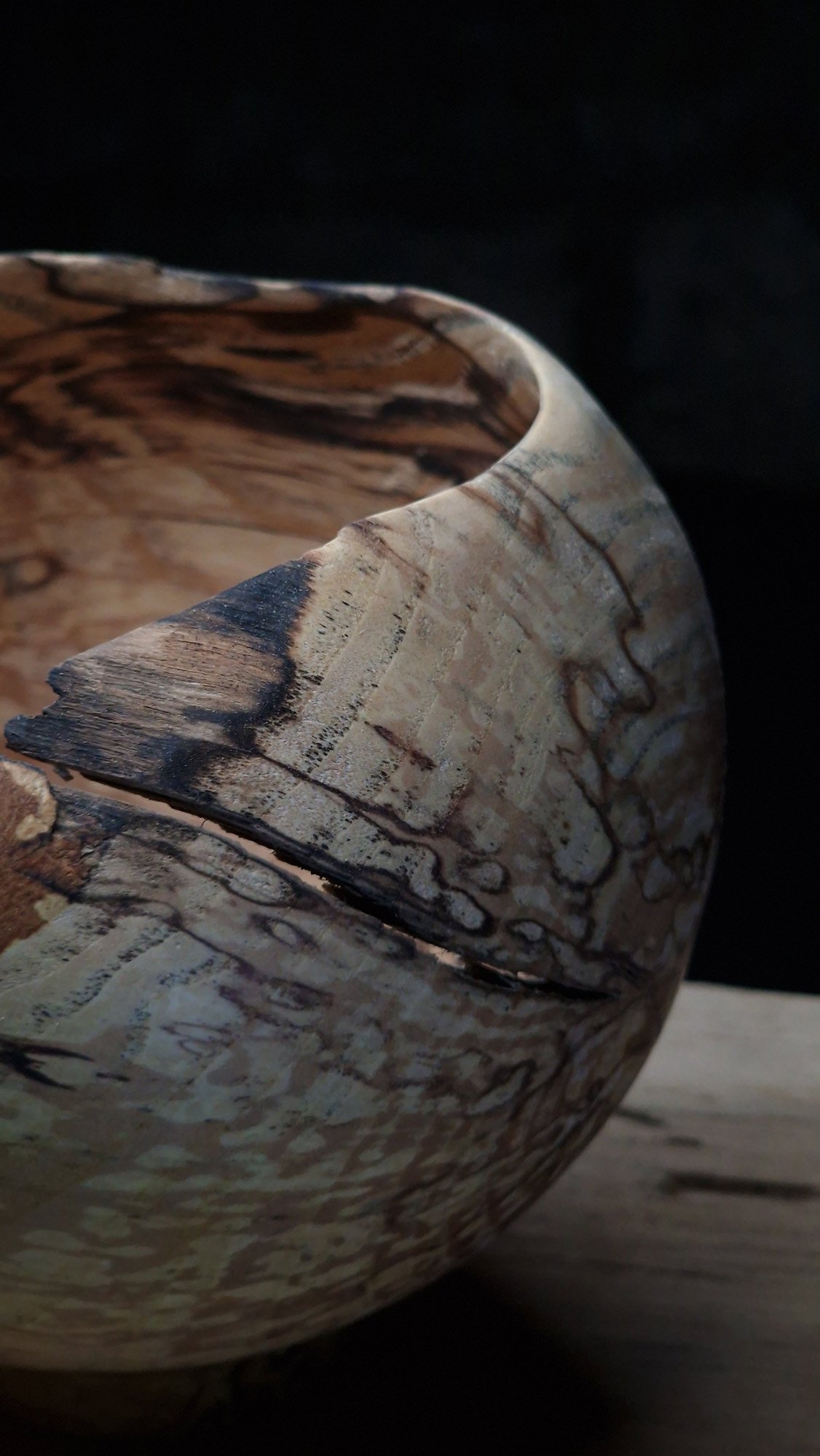 spalted ash detail shot