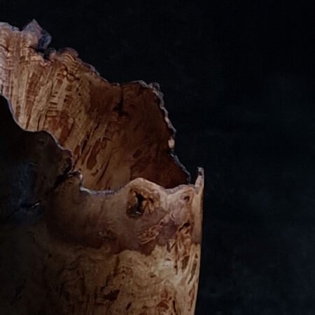 Sculptural Oak Burr Vessel with Live Edge III 05