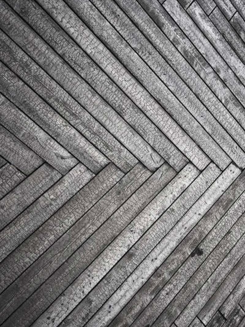 Shou Sugi Ban 2