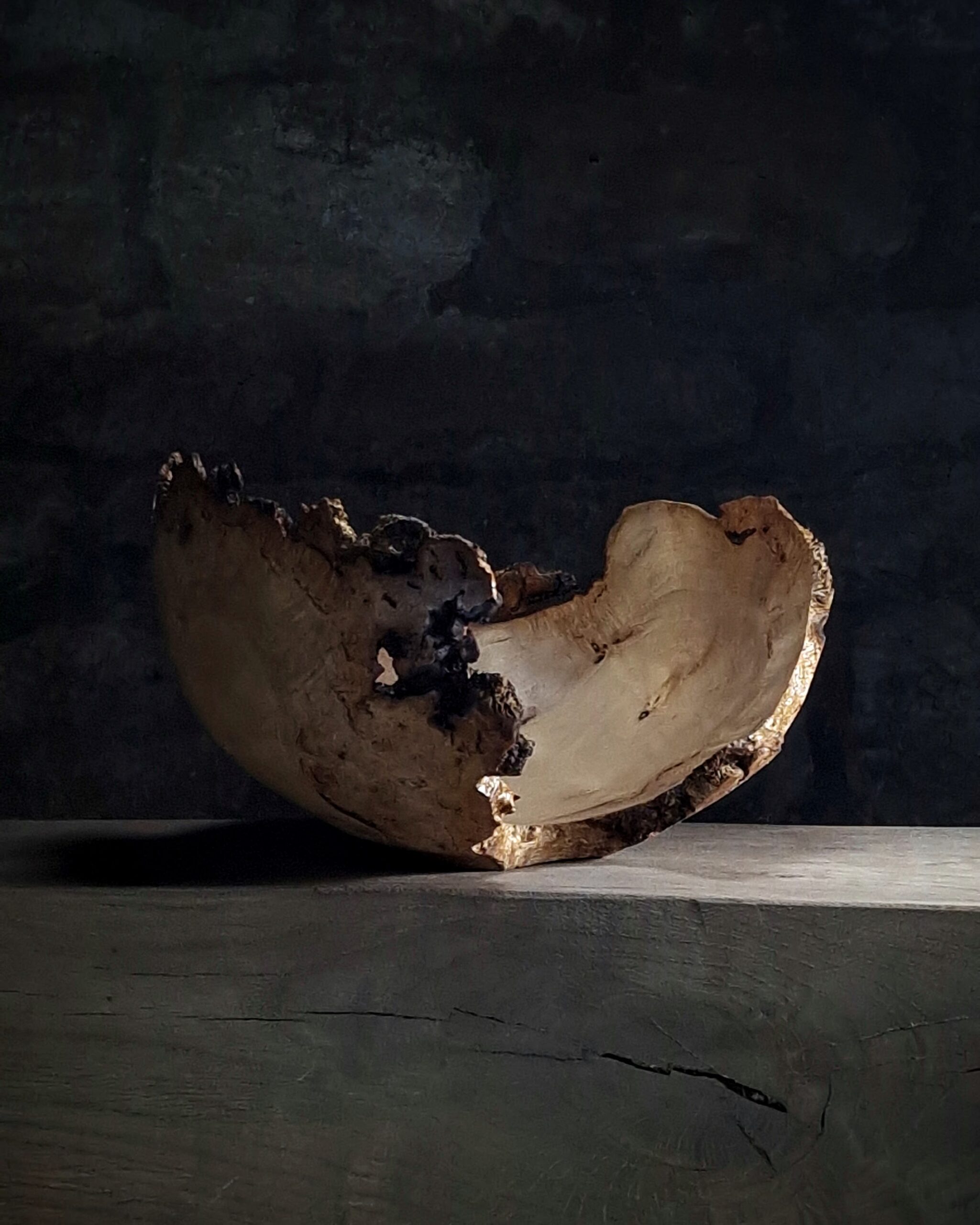 Apple wood vessel X