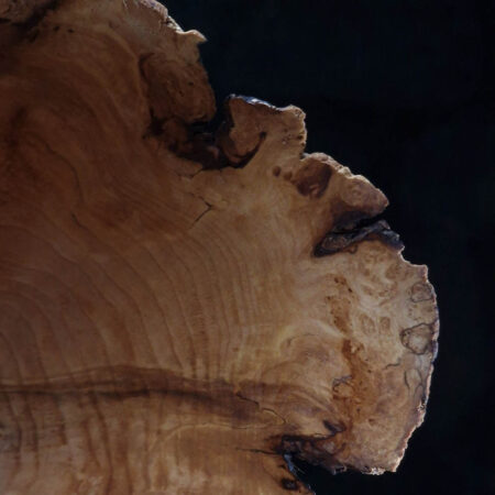Apple Wood Vessel no.14 8
