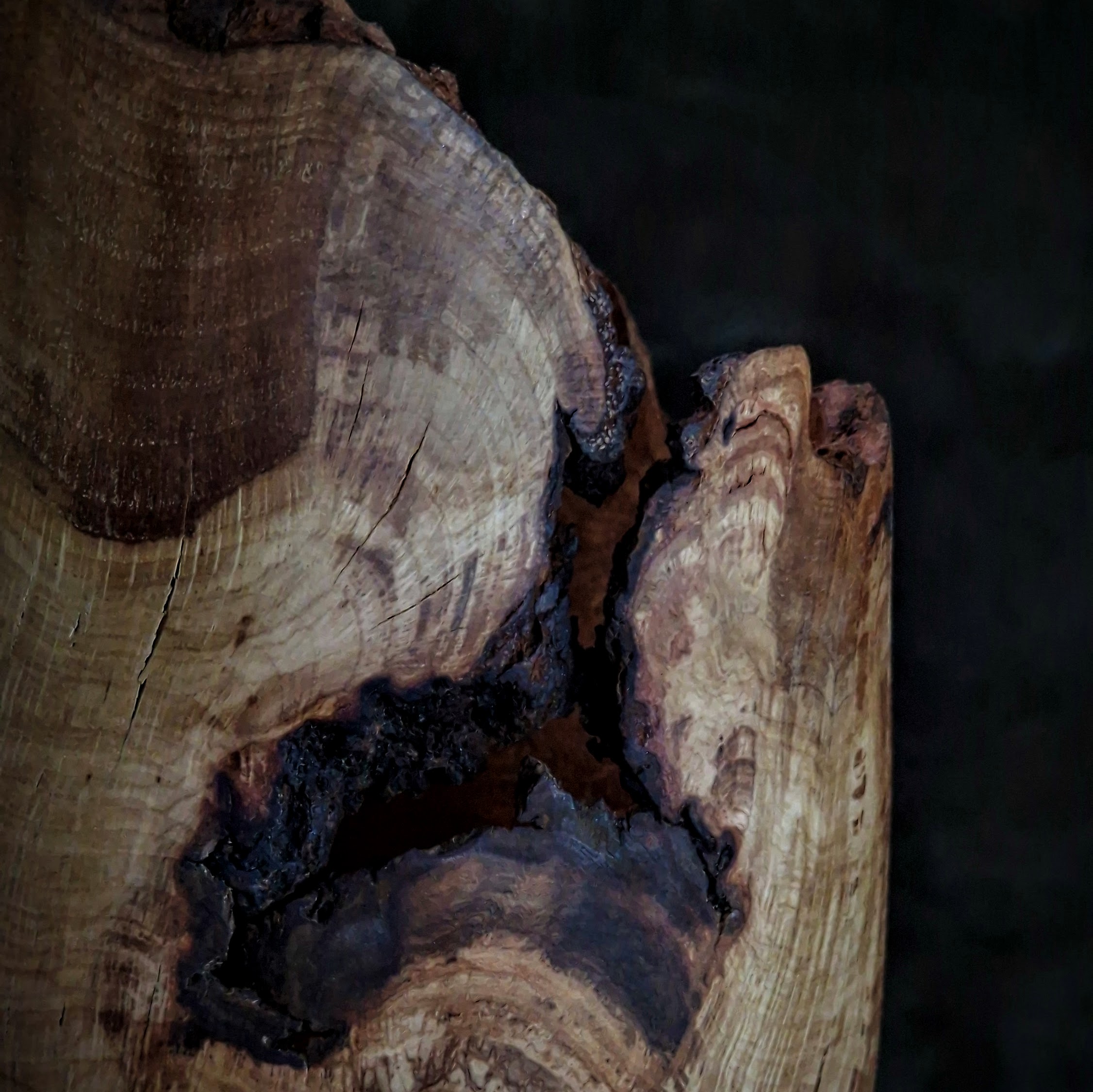 Oak Burr Vessel Close Up