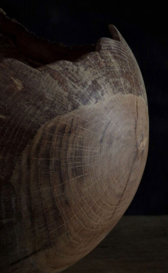 oak display bowl close up by Alexei Sawyer